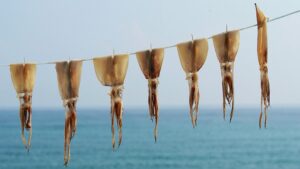 Gd9c5793fbd72a751d51ae3ec479433591e77b8c32a17f0b02dc5f5d1b984d09308e8684b5b45f0a8bc26f5592f7c85eaa6ae3d6882dc6eb9db027630c42f86e5 640